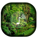 Rain sounds-Jungle APK