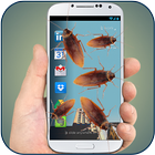 Cockroach in Phone Prank icon