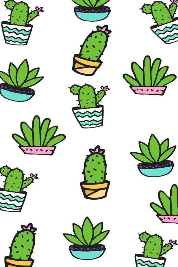 Cute Cactus Wallpaper HD for Android - APK Download