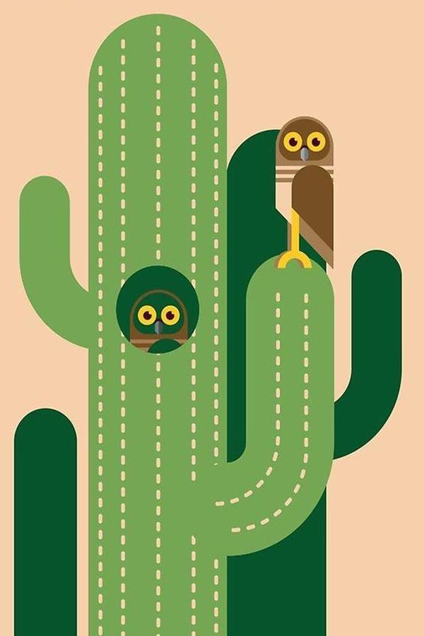 Images Of Cartoon Cute Cactus Wallpaper
