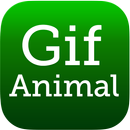 Gif Animal-APK