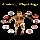 Anatomy Physiology Hindi أيقونة