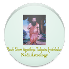 Nadi Astrologer icône