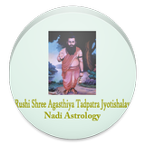 Nadi Astrologer icône