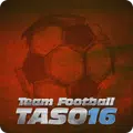 Team Football 16