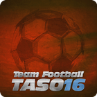 Team Football 16-icoon