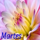 Martes APK