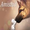 Amistad