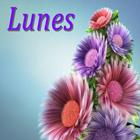 Lunes 아이콘