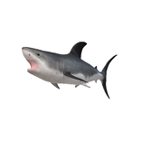 快樂水族箱---Happy Fish