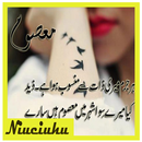 Urdu Poetry Ideas-APK