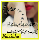 Urdu Poetry Ideas APK