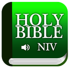 Bible NIV mp3 icon