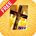NIV 성경 무료 아이콘