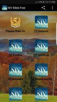 NIV Bible Free Plakat