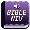 Niv Audio Bible Free