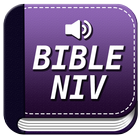 Niv Audio Bible Free icon