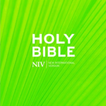 ”NIV Bible