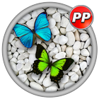 Profil Pictures Butterfly biểu tượng