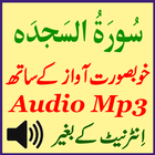 Recite Surah Sajdah Audio App icon