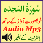 Recite Surah Sajdah Audio App আইকন