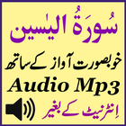 Recite Sura Yaseen Audio Mp3 icono