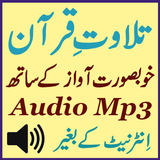 Daily Mp3 Al Quran Audio App icône