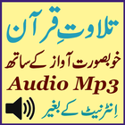 Daily Mp3 Al Quran Audio App ไอคอน