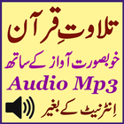 Daily Mp3 Quran Audio Tilawat icône