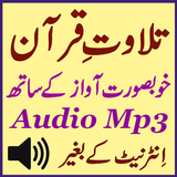 Daily Mp3 Quran Audio Tilawat আইকন