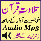 Daily Quran Mp3 Audio Free App icône