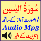 Surat Yaseen Android Audio Mp3 icône