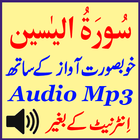 آیکون‌ Surat Yaseen Android Audio Mp3