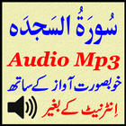 Sura Sajdah For Mp3 Audio App أيقونة