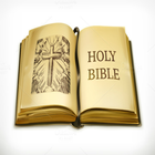 NKJV Bible Offline icon