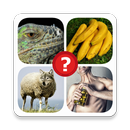 The 7 continents : 4 Pictures 1 Word APK