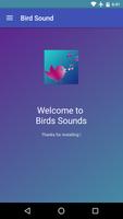 Poster Birds Sounds