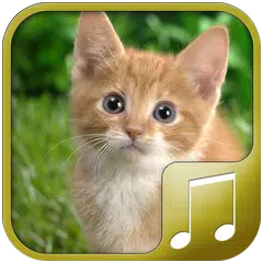 Cat Sounds APK Herunterladen