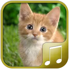 Скачать Cat Sounds APK