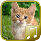 Cat Sounds آئیکن