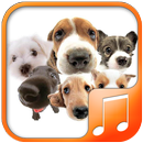 Dogs Sounds APK