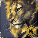 Wild Lion Simulator 2016 APK