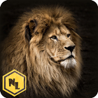 Real Lion Hunter 2015 أيقونة