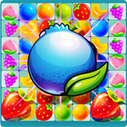 Fruit Splash Favorite 图标