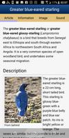 Birds Of Western Africa (old version) screenshot 3