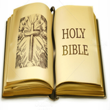 NLT Bible Offline আইকন