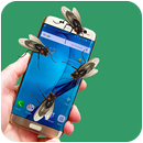 Fly On Screen APK