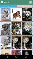 Tiger wallpapers slide show capture d'écran 2