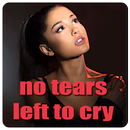 No Tears Left To Cry Ariana Arande Song APK
