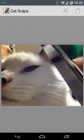 Cat Snaps capture d'écran 1
